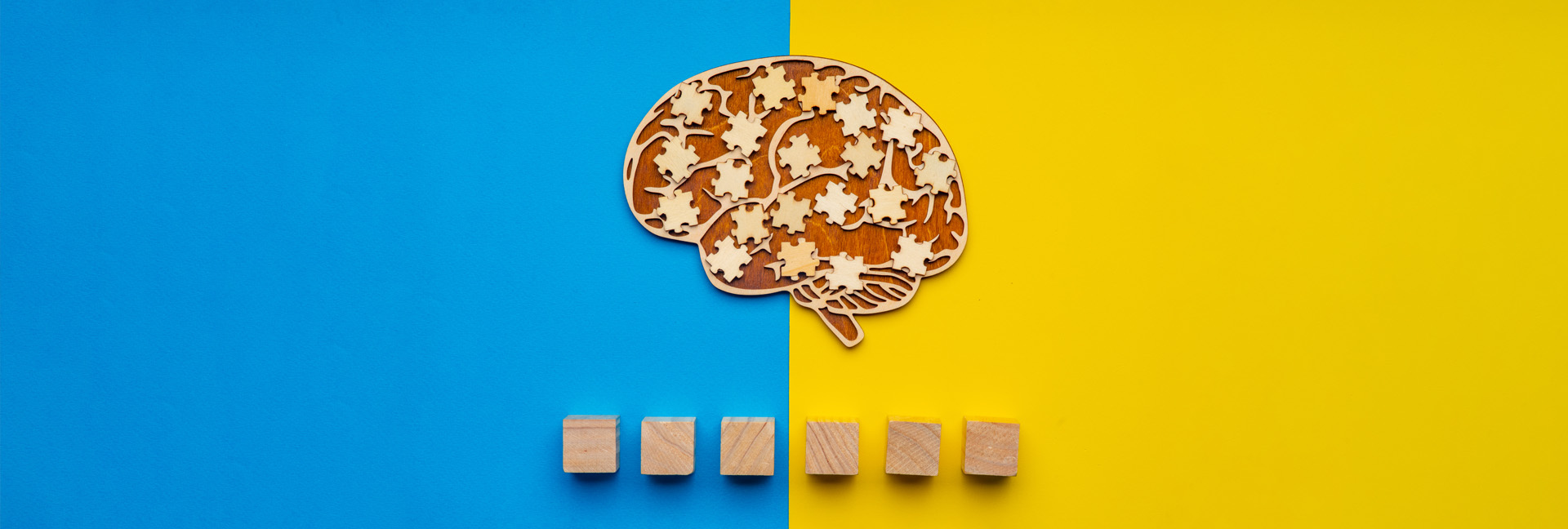 Brain puzzle pieces