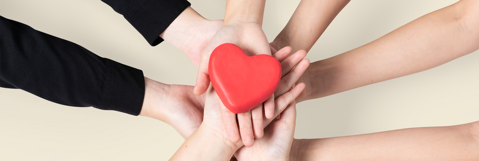 Hands United Holding Heart